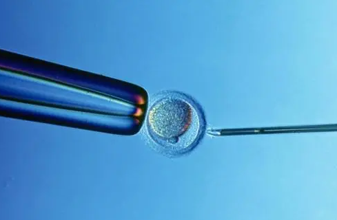 1709972919.png QQ浏览器截图20240309162808.png