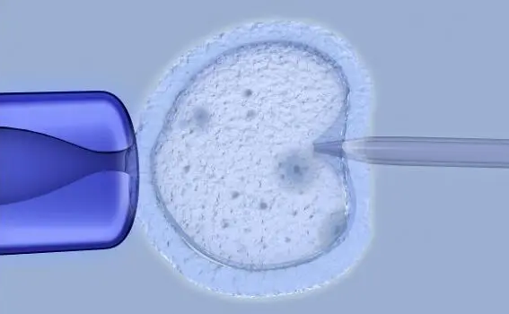 1710148177.png QQ浏览器截图20240311170831.png